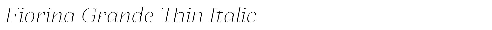 Fiorina Grande Thin Italic image